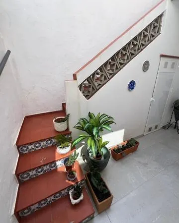 Isla Sicilia * 올리바